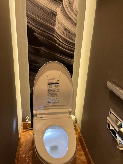 HOTEL SULATA渋谷道玄坂(渋谷区/ラブホテル)の写真『403号室　トイレ』by INA69