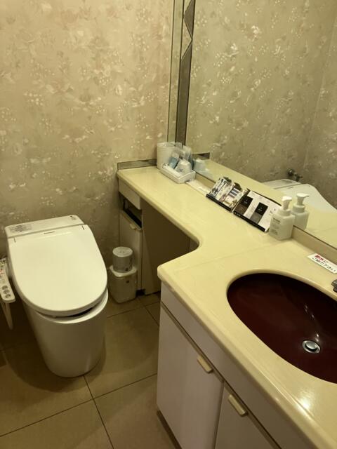 ホテル サンマルタン(京都市下京区/ラブホテル)の写真『602号室 トイレ兼洗面所』by 92魔