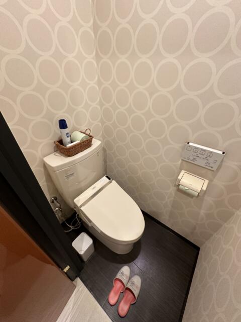 サンモリッツテラ(台東区/ラブホテル)の写真『533号室トイレ』by miffy.GTI