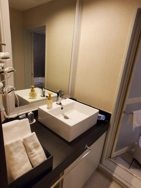 HOTEL GRANDE(川口市/ラブホテル)の写真『203号室　洗面所』by suisui