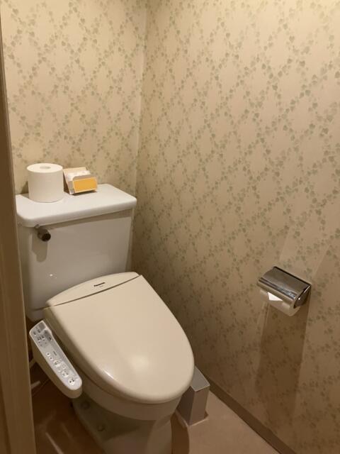 プラージュ(横浜市神奈川区/ラブホテル)の写真『311号室 トイレ』by 92魔
