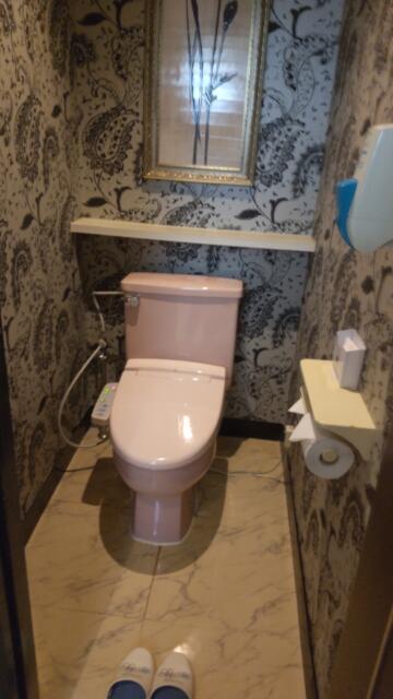 HOTEL Espana 行田店(イスパニア）(行田市/ラブホテル)の写真『302号室　トイレ』by 八つの大罪