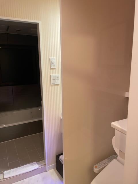HOTEL G-Style(豊島区/ラブホテル)の写真『402号室、右にトイレそして奥が浴室』by 都まんじゅう