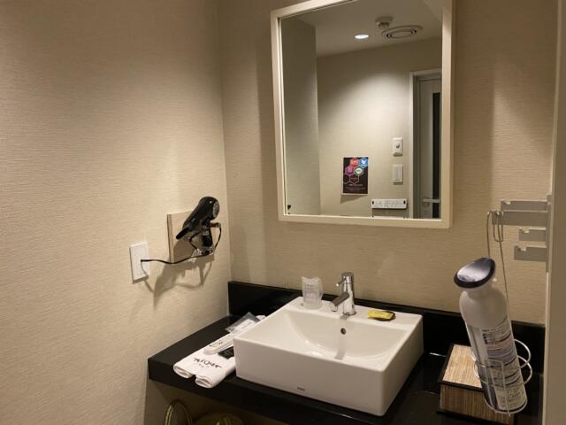 ＡＲＯＭＡ(アロマ)(豊島区/ラブホテル)の写真『404号室・洗面所』by カズ35