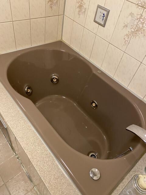HOTEL Aine(アイネ)(行田市/ラブホテル)の写真『225号室(浴室浴槽)』by こねほ