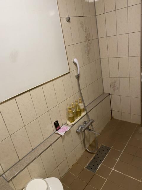 HOTEL Aine(アイネ)(行田市/ラブホテル)の写真『225号室(浴室右奥から)』by こねほ