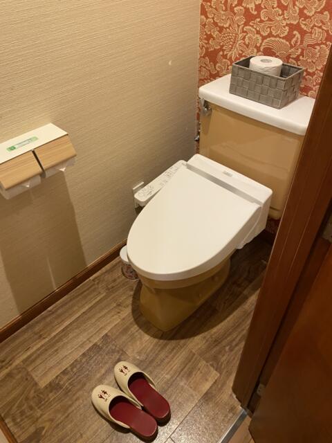 HOTEL Aine(アイネ)(行田市/ラブホテル)の写真『225号室(トイレ)』by こねほ