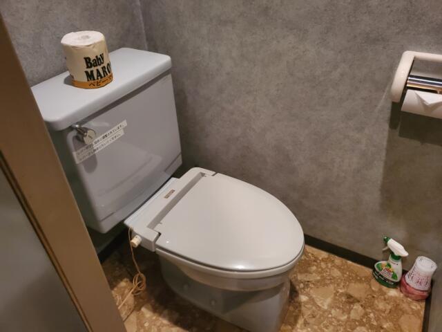 マイルド(川口市/ラブホテル)の写真『506号室　トイレ』by suisui