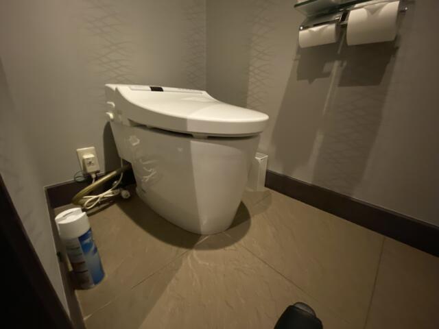 HOTEL VARKIN（ヴァーキン）(豊島区/ラブホテル)の写真『901号室、トイレ』by トマトなす