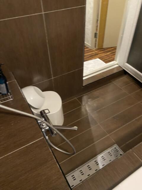 HOTEL CORE 池袋(豊島区/ラブホテル)の写真『603号室(浴室右奥から)』by こねほ