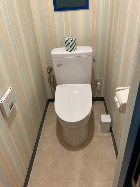 エルス(豊島区/ラブホテル)の写真『103号室トイレ』by yamasada5