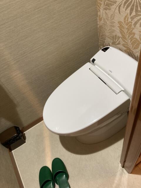 HOTEL GERBERA(ガーベラ)(豊島区/ラブホテル)の写真『502号室トイレ』by yamasada5