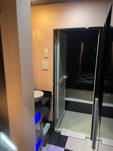 HOTEL G-Style(豊島区/ラブホテル)の写真『205号室、洗面に奥が浴室』by 都まんじゅう
