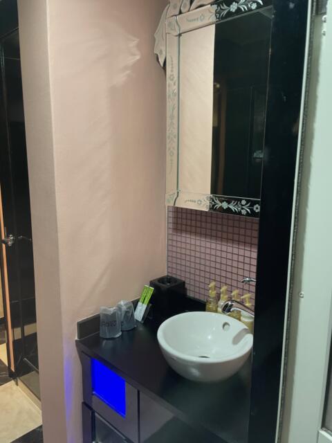 HOTEL G-Style(豊島区/ラブホテル)の写真『205号室、洗面』by 都まんじゅう