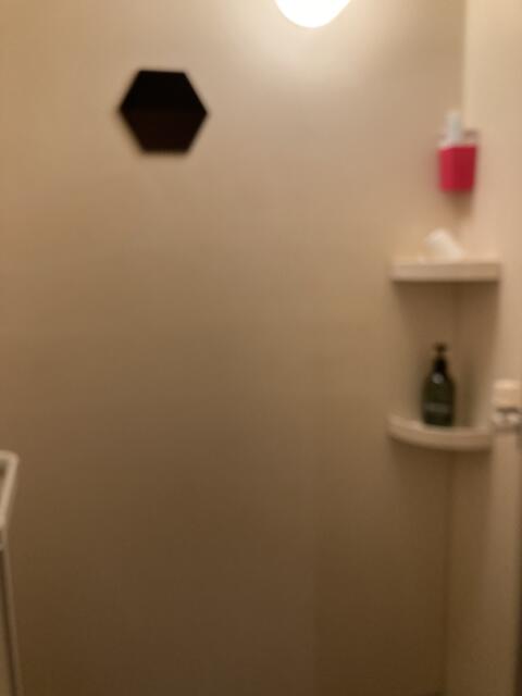 新橋レンタルルーム ビオス(港区/ラブホテル)の写真『4号室　シャワー室』by まさおJリーグカレーよ