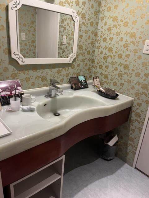 HOTEL L'ERMITAGE(エルミタージュ)(名古屋市熱田区/ラブホテル)の写真『607号室 洗面台』by 飴☆ミ