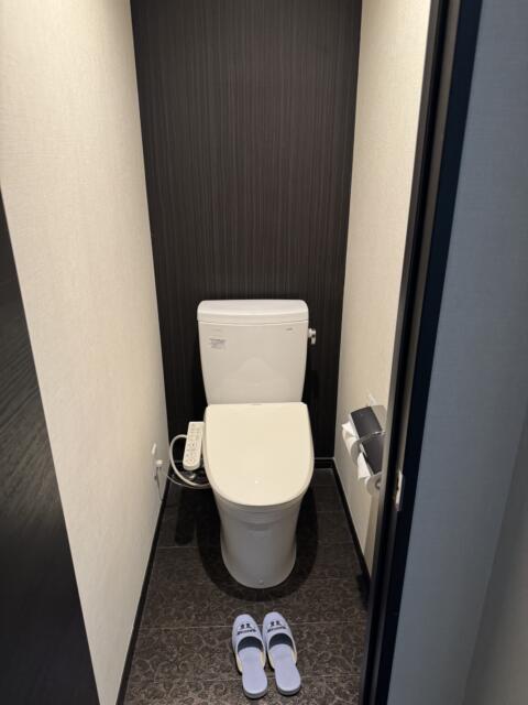 HOTEL WILL BAY CITY(船橋市/ラブホテル)の写真『205号室　トイレ』by ひこべえ