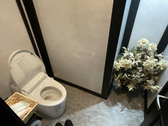 MG City Hotel（エムジーシティホテル）(船橋市/ラブホテル)の写真『505号室　トイレ　お花もありますw』by 不惑より性欲