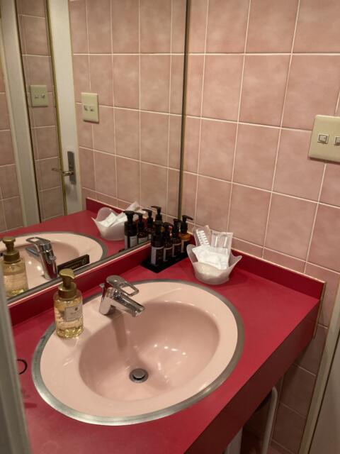 ホテルSAVOY(台東区/ラブホテル)の写真『401号室洗面台』by yamasada5