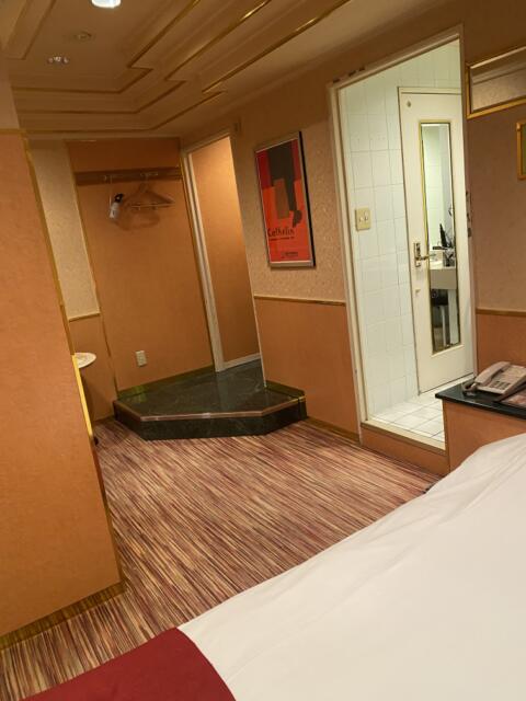 ホテルSAVOY(台東区/ラブホテル)の写真『206号室(右奥から手前)』by こねほ