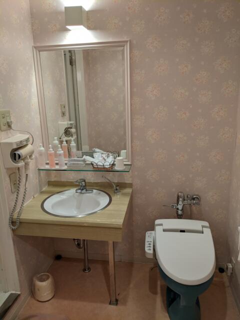 ホテル うさぎのみみ(神戸市中央区/ラブホテル)の写真『401号室 洗面・トイレ』by きんてつ