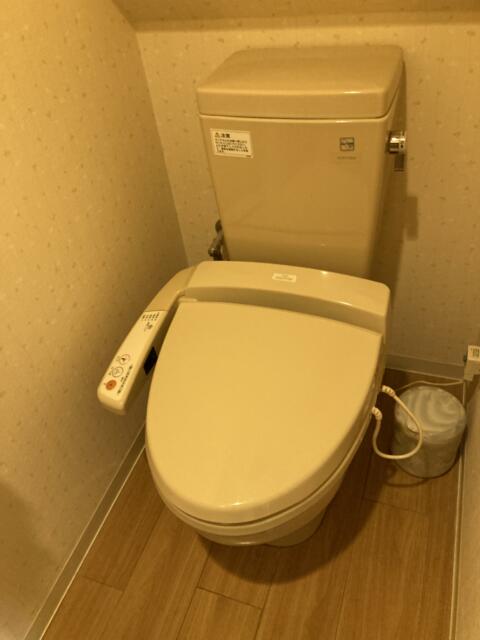 ファインオリーブ 琵琶湖(守山市/ラブホテル)の写真『202号室　トイレ』by まさおJリーグカレーよ