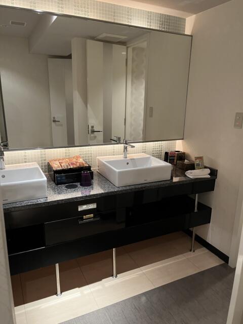 HOTEL ミラージュ(名古屋市中区/ラブホテル)の写真『501号室 洗面台』by 飴☆ミ