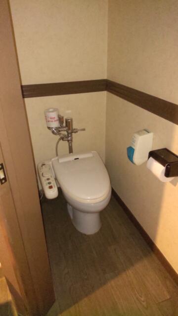ティファナイン(豊島区/ラブホテル)の写真『701号室　トイレ』by かつ吉