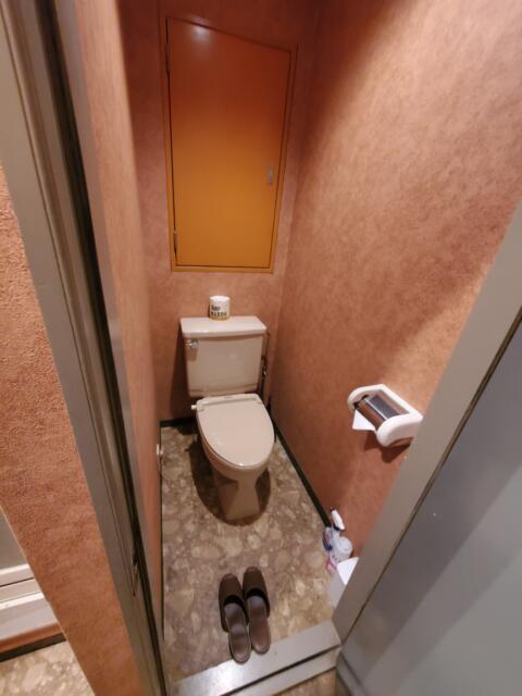 マイルド(川口市/ラブホテル)の写真『603号室　トイレ』by suisui