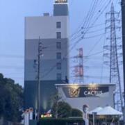 HOTEL THE CACTUS (ホテル ザ カクタス)(春日井市/ラブホテル)の写真『夜の外観』by まさおJリーグカレーよ