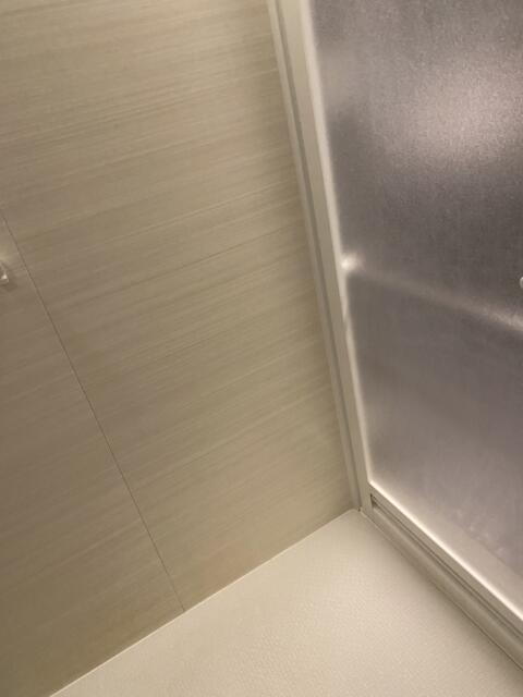 HOTEL GERBERA(ガーベラ)(豊島区/ラブホテル)の写真『603号室(浴室左奥から)』by こねほ