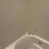 HOTEL GERBERA(ガーベラ)(豊島区/ラブホテル)の写真『603号室(浴室右奥から)』by こねほ