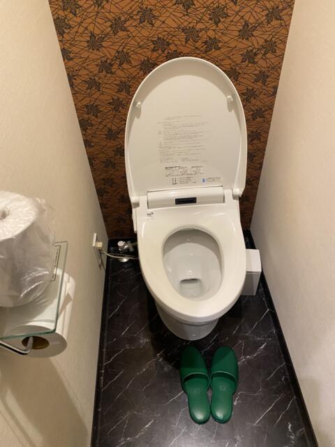 HOTEL GERBERA(ガーベラ)(豊島区/ラブホテル)の写真『603号室(トイレ)』by こねほ