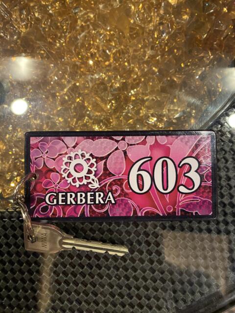HOTEL GERBERA(ガーベラ)(豊島区/ラブホテル)の写真『603号室(ルームキー)』by こねほ