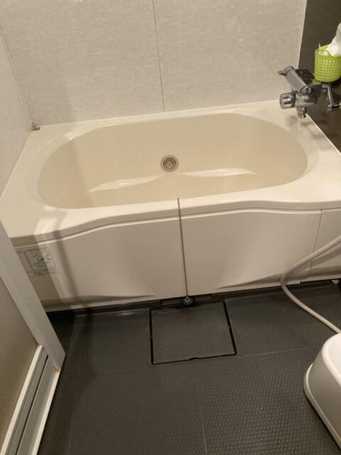 ホテル ピュア・アジアン(墨田区/ラブホテル)の写真『502号室浴室』by yamasada5