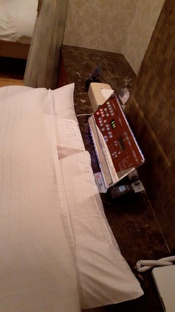 ホテルワンリッツ(戸田市/ラブホテル)の写真『217号室、ベッド脇のパネル。ティッシュの間に電マが設置されている』by 春風拳