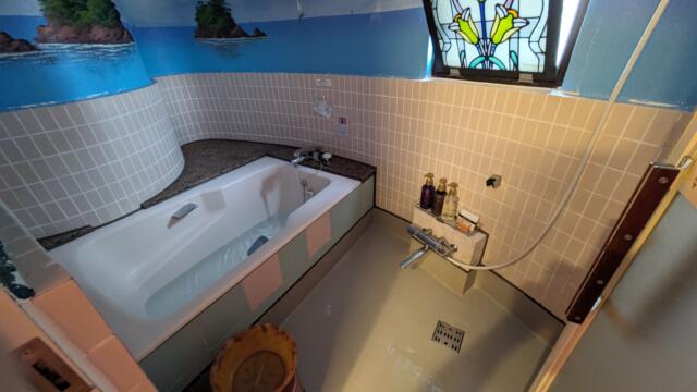 ホテル アーカス(立川市/ラブホテル)の写真『503号室、浴室』by 爽やかエロリーマン