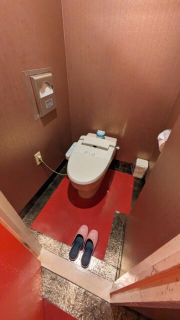 ホテル アーカス(立川市/ラブホテル)の写真『503号室、トイレ』by 爽やかエロリーマン