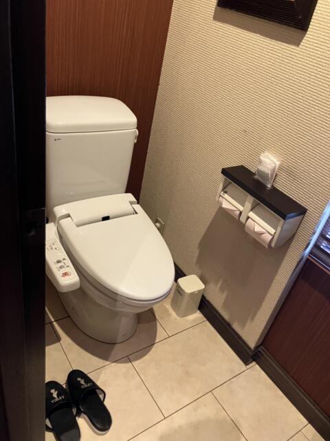 HOTEL MU～Z annex（ミューズアネックス(古河市/ラブホテル)の写真『301号室 トイレ』by サトナカ