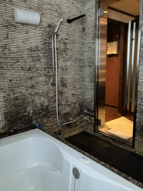 HOTEL MU～Z annex（ミューズアネックス(古河市/ラブホテル)の写真『301号室 浴室（3）』by サトナカ