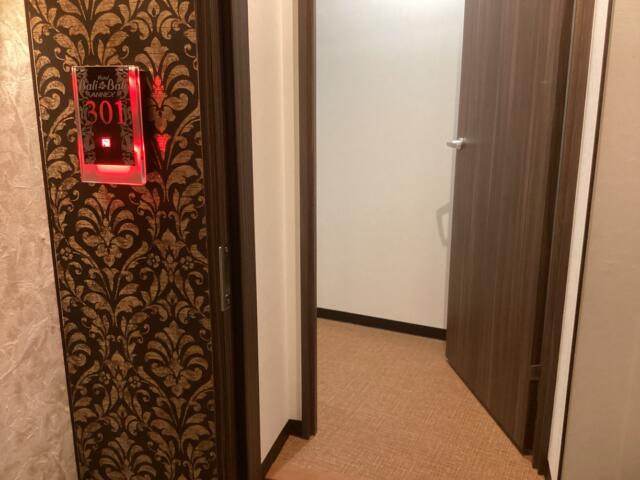 HOTEL Balibali ANNEX（バリバリアネックス）(品川区/ラブホテル)の写真『301号室 前室から見た室内』by ACB48