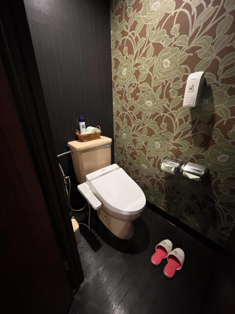 サンモリッツ 本店(台東区/ラブホテル)の写真『203号室　トイレ』by INA69