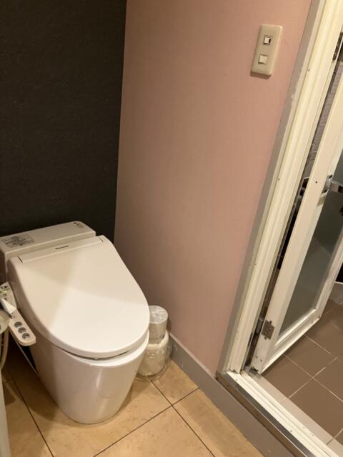 ホテル サンマルタン(京都市下京区/ラブホテル)の写真『803号室 洗面台の向かいにトイレ』by 92魔