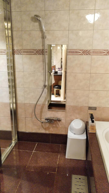 HOTEL RAY FIELD(墨田区/ラブホテル)の写真『501号室 バスルーム洗い場（２）』by 午前３時のティッシュタイム