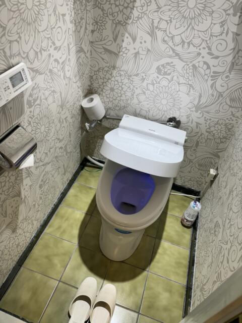 ホテル U(文京区/ラブホテル)の写真『301号室　トイレ』by たんげ8008