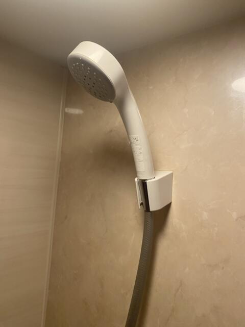 P-DOOR GOLD(台東区/ラブホテル)の写真『401号室(浴室シャワーヘッド)』by こねほ