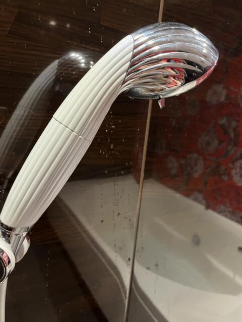 HOTEL ZHIPAGO (ジパゴ)(品川区/ラブホテル)の写真『801号室 リファのシャワーヘッド』by 飴☆ミ
