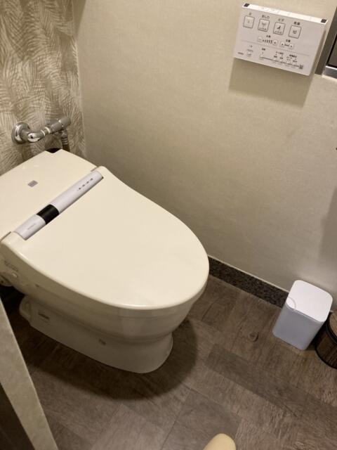 ホテル パル新宿店(新宿区/ラブホテル)の写真『301号室トイレ』by yamasada5