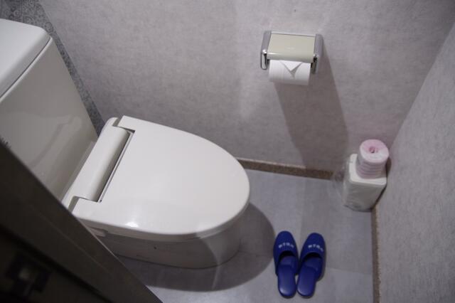 ホテルゆたか(新宿区/ラブホテル)の写真『303号室　洗浄機能付きトイレ』by マーケンワン