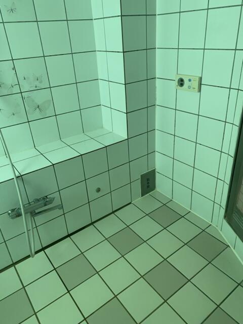 ホテル レモンツリー富里(富里市/ラブホテル)の写真『310号室(浴室左奥から)』by こねほ